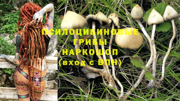 каннабис Балабаново